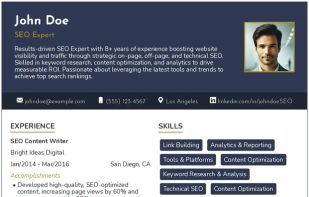 SEO Expert Resume Template