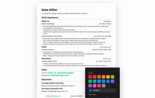 Resumey.Pro screenshot 1