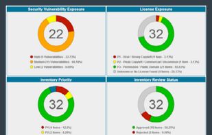 Revenera FlexNet Code Insight screenshot 1