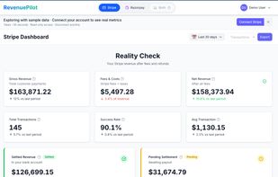 RevenuePilot screenshot 1