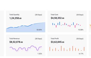 Revenyze screenshot 1