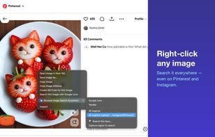 Reverse Image Search Anywhere screenshot 1