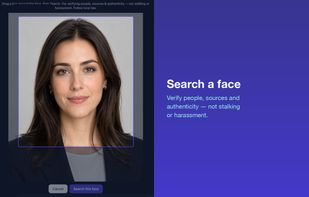 Reverse Image Search Anywhere screenshot 2