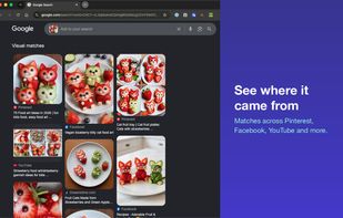 Reverse Image Search Anywhere screenshot 3