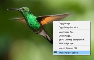 Reverse Image Search screenshot 1
