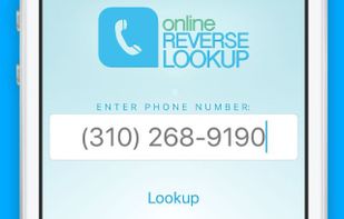 Simply enter a 10-digit phone number.