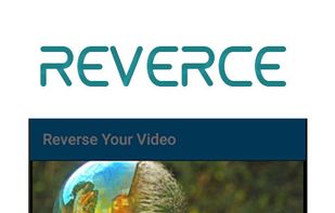 Reverse Video screenshot 1