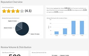 Review Management Software screenshot 3
