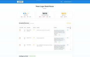 Review Report screenshot 1