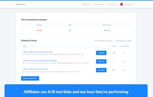 Affiliate dashboard overview