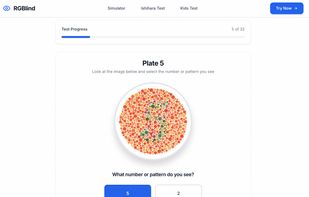 Ishihara Color Vision Test