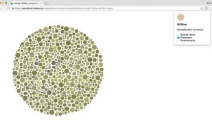 RGBlind screenshot 2