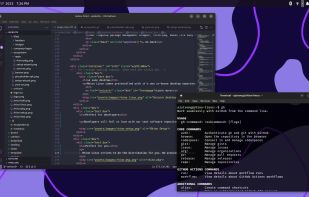 Rhino Linux screenshot 1