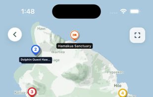 Ribbit: AI Itinerary Planner screenshot 1