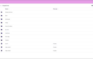 RiceDrive manage google drive