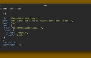 Rich-CLI screenshot 2