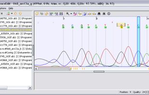 Ridom TraceEdi screenshot 1