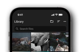 Right Gallery screenshot 1