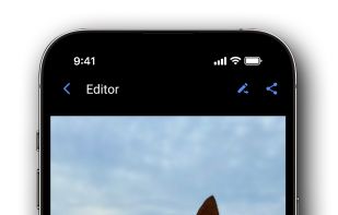 Right Gallery screenshot 3