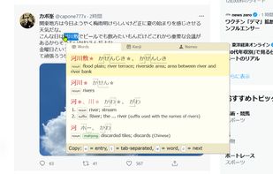 10ten Japanese Reader (Rikaichamp) screenshot 2
