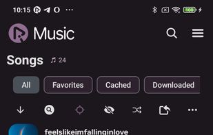 RiMusic screenshot 3