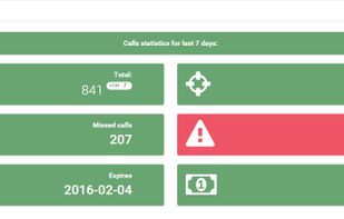 Ringostat screenshot 3