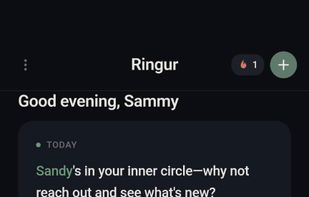 Ringur screenshot 1