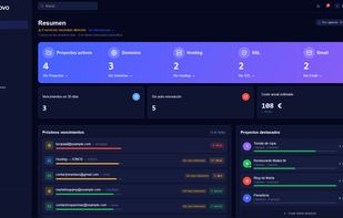 Rinnovo dashboard showing projects, domains, hosting, SSL and email services, upcoming renewals and estimated annual costs in one place.