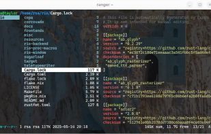 Rio Terminal screenshot 2