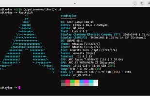 Rio Terminal screenshot 1