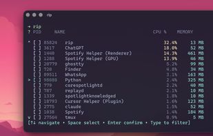 rip-cli screenshot 1