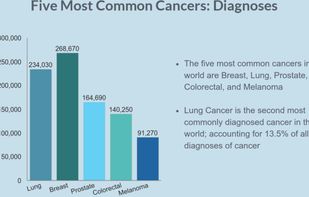 RiskAverse screenshot 1