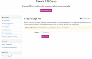 RiteKit Company Logo API screenshot 1