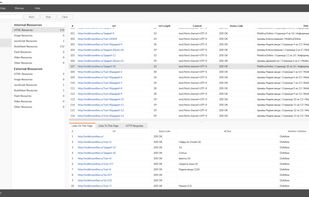 RiveSolutions SEO Spider screenshot 1