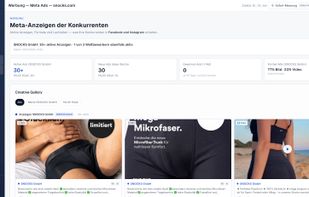 Competitor Meta ads: active creatives and campaign activity.