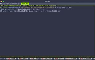 RMUX screenshot 1