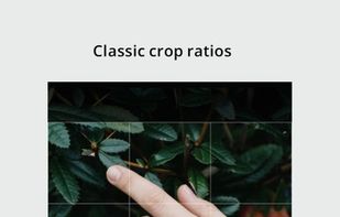 RNI Films screenshot 3