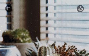 RNI Flashback screenshot 3