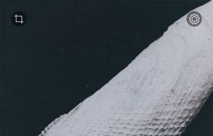 RNI Flashback screenshot 1