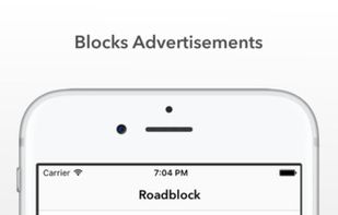 Roadblock screenshot 1