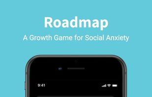 Roadmap Game screenshot 1