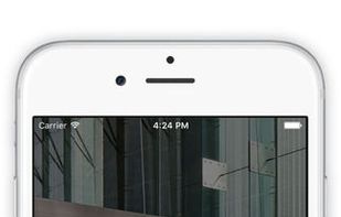 Roadmap screenshot 1
