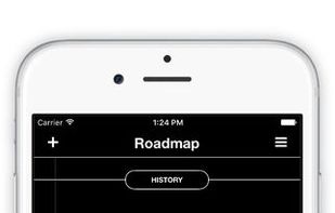 Roadmap screenshot 2
