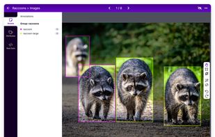 Roboflow screenshot 2