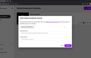 Add your Steam Broadcast Channels with a simple wizard