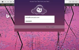 Roccat Browser screenshot 2