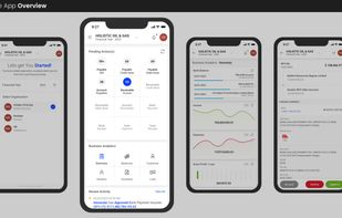 RockEye - Financial Accounting screenshot 2