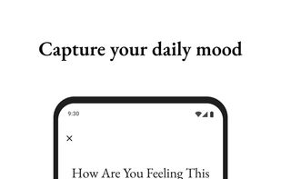 Rocks & Pebbles: Daily Planner screenshot 2