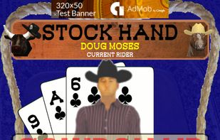 Rodeo Judge screenshot 1
