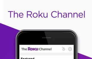 Roku screenshot 2